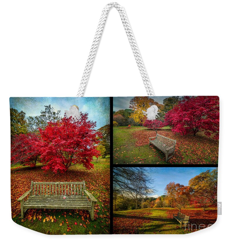 Autumn In The Park Weekender Tote Bag featuring the photograph Autumn in the Park #2 by Adrian Evans