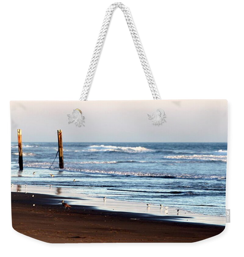 Beach Weekender Tote Bag featuring the photograph Beach Fence #2 by Henrik Lehnerer