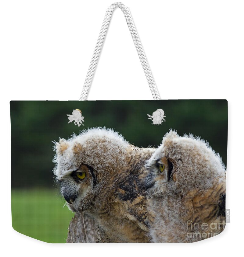 Great Weekender Tote Bag featuring the photograph Brother and sister #2 by Les Palenik