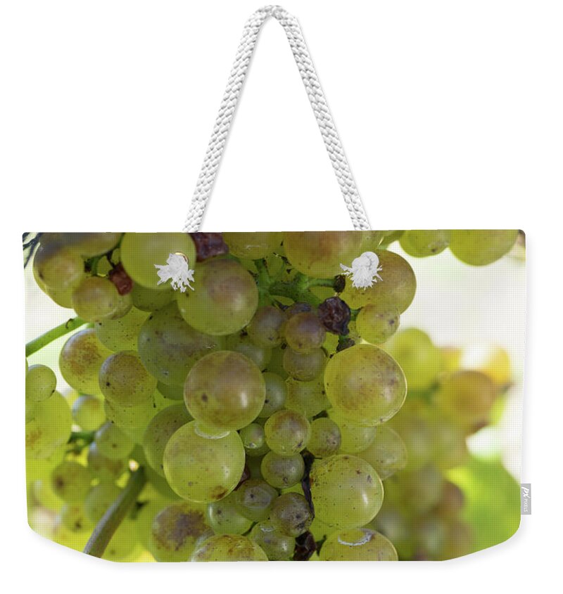 Photography Weekender Tote Bag featuring the photograph Chardonnay Grapes On Vine #2 by Panoramic Images