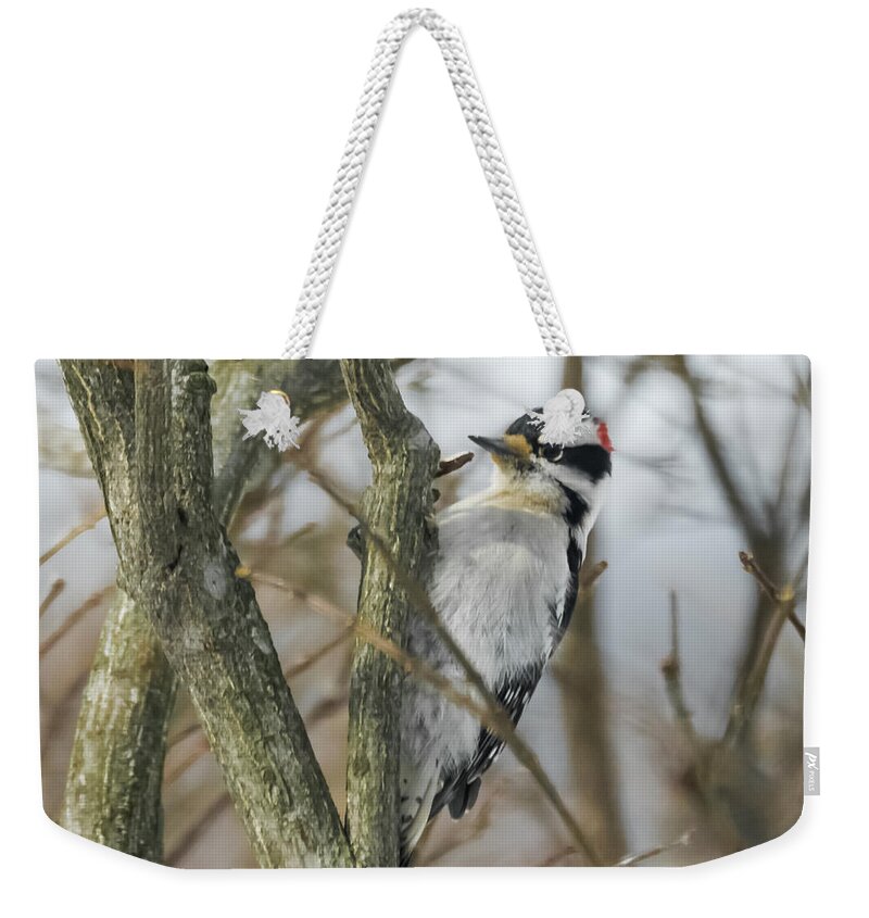 Woodpecker Weekender Tote Bag featuring the photograph Downy Woodpecker by Holden The Moment