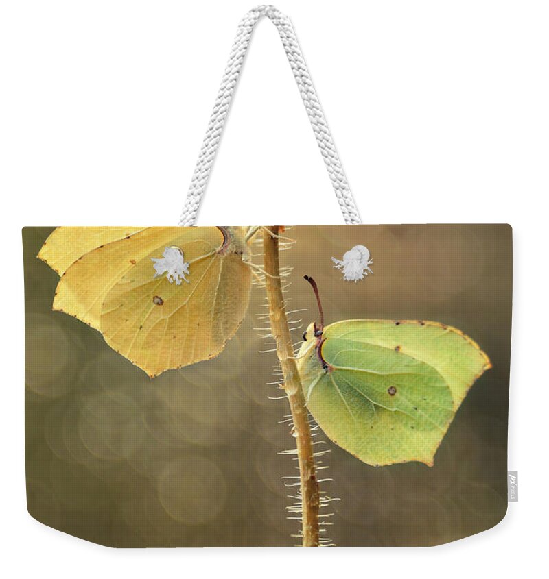 Macrophotography Weekender Tote Bag featuring the photograph Duet #3 by Jaroslaw Blaminsky