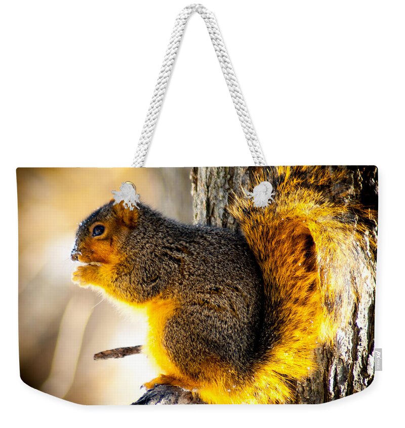 Optical Playground By Mp Ray Weekender Tote Bag featuring the photograph Early Morning Glow by Optical Playground By MP Ray