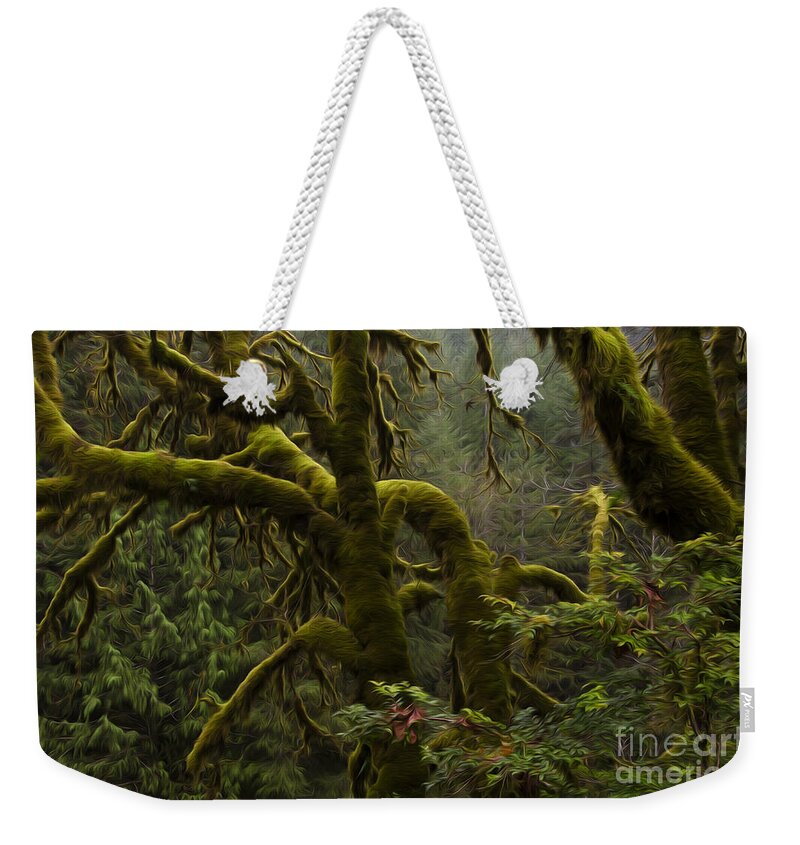Oregon Weekender Tote Bag featuring the photograph Enchanted Spaces Edge Of The Forest Oregon 2 by Bob Christopher