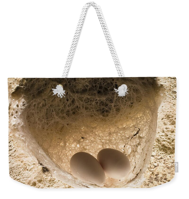 Feb0514 Weekender Tote Bag featuring the photograph Edible-nest Swiftlet Nest With Eggs #2 by Konrad Wothe