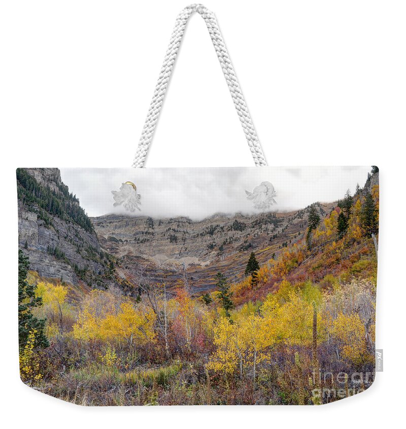 Wasatch Mountains Weekender Tote Bag featuring the photograph Fall at Mt. Timpanogos - Utah #2 by Gary Whitton
