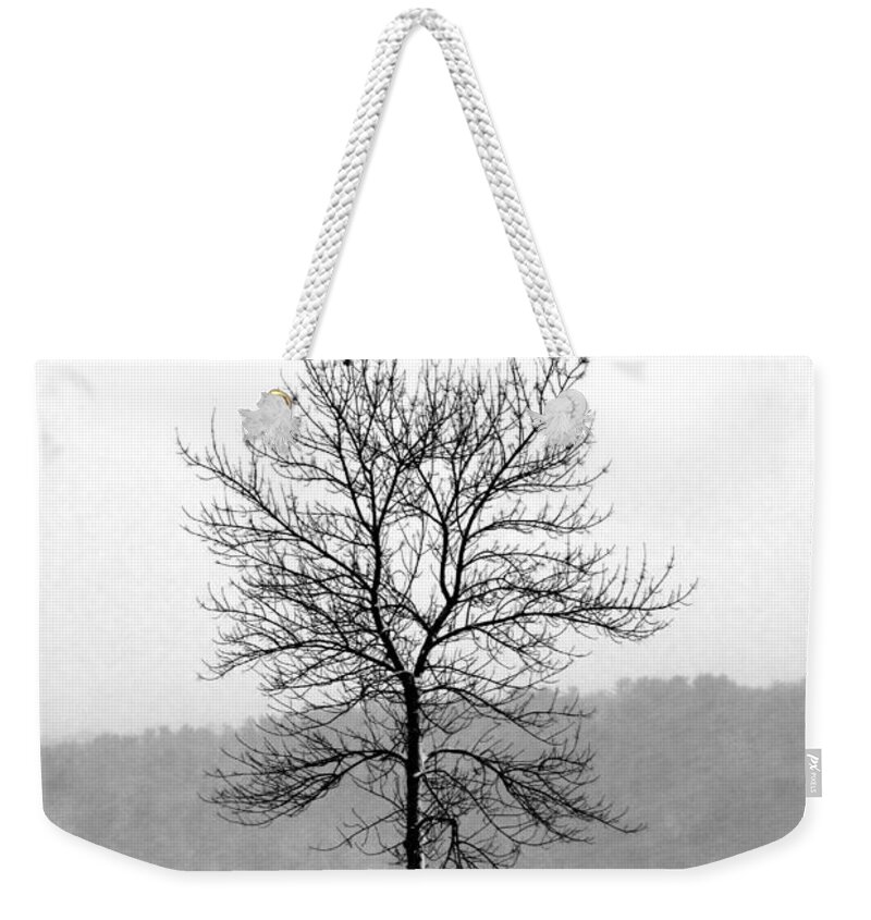 Landscape Weekender Tote Bag featuring the photograph Fight Against the Storm by Crystal Wightman