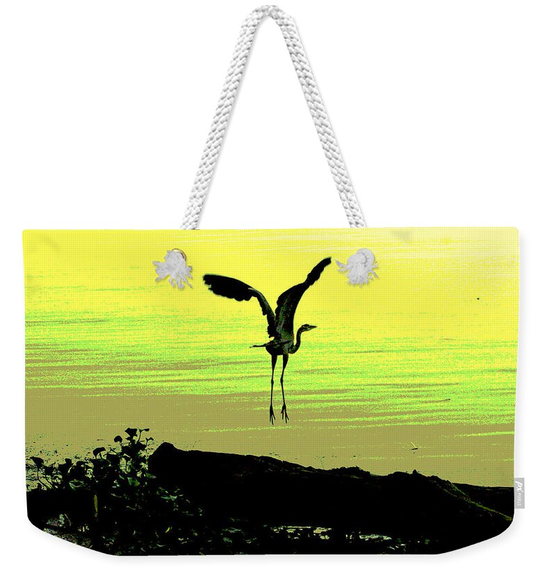 Sacramento River Delta Weekender Tote Bag featuring the digital art First Flight by Joseph Coulombe