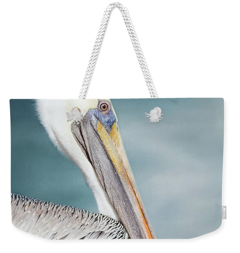 Pelican Weekender Tote Bag featuring the photograph Florida Brown Pelican #3 by Kim Hojnacki