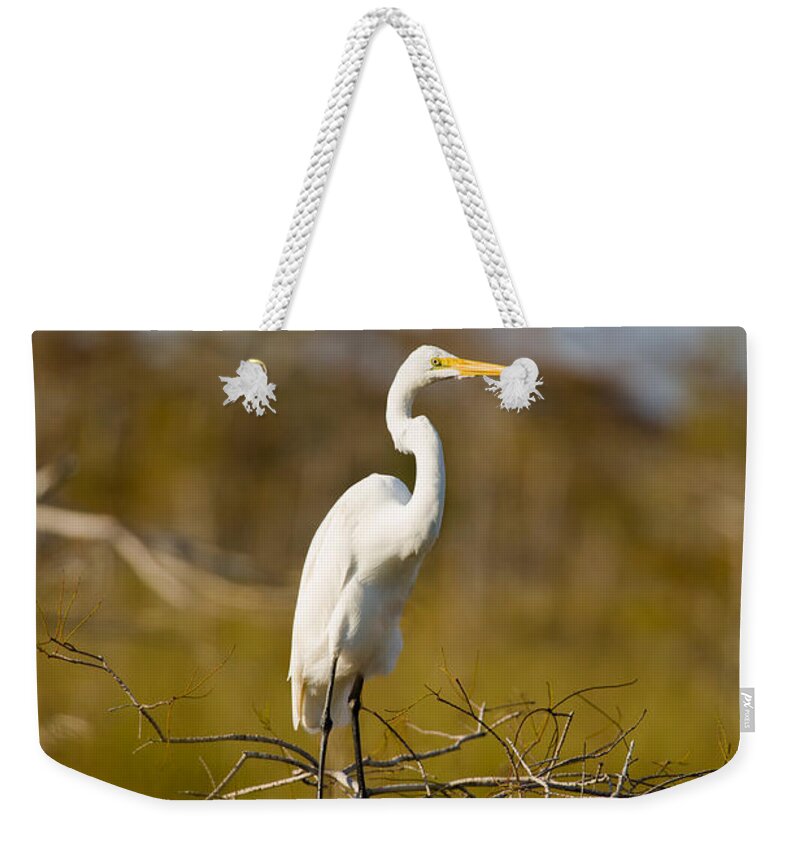 Egret Weekender Tote Bag featuring the photograph Great White Egret #2 by Raul Rodriguez