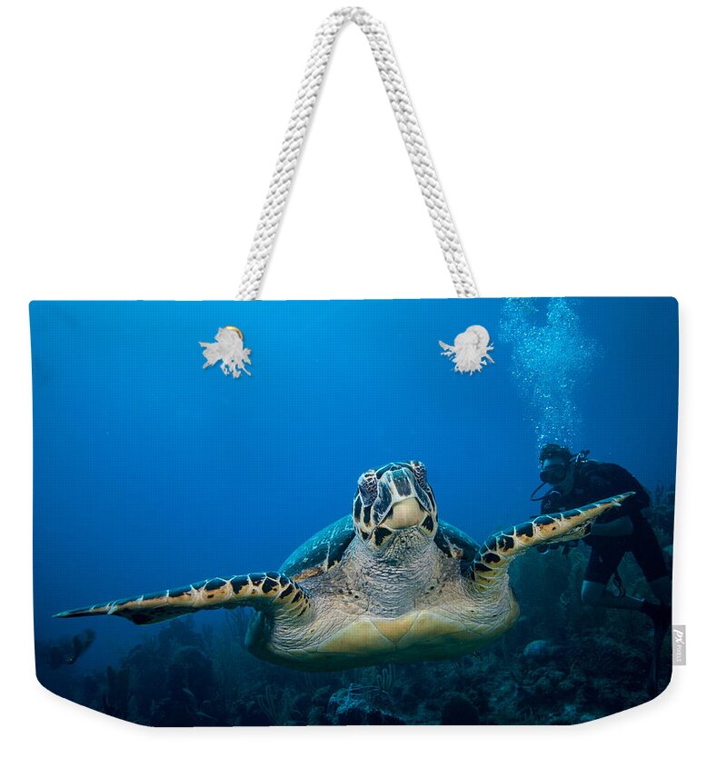 Hawksbill Turtle Weekender Tote Bag featuring the photograph Hawksbill #2 by Jean Noren