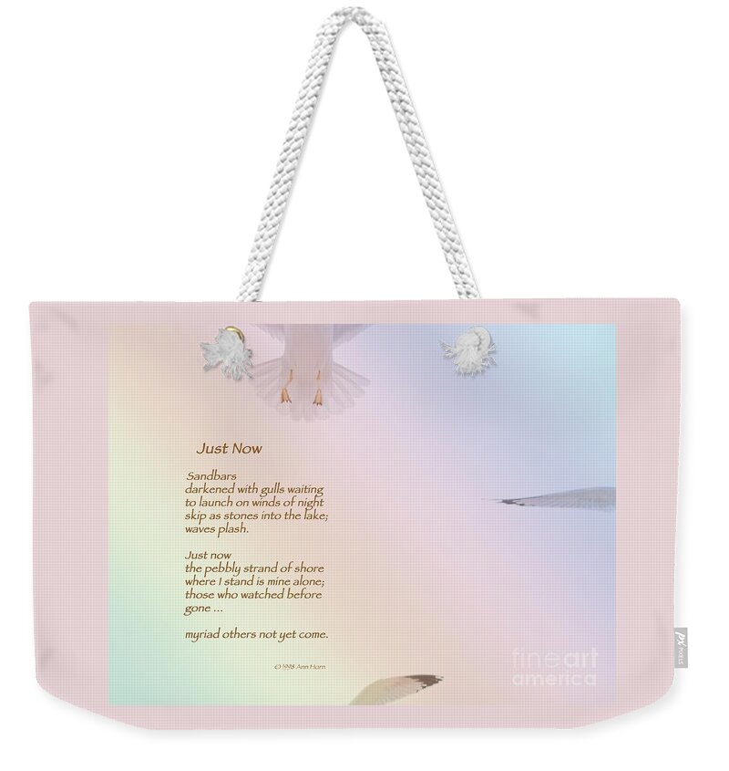 Seagull Weekender Tote Bag featuring the photograph Just Now by Ann Horn