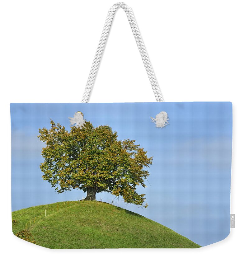 Feb0514 Weekender Tote Bag featuring the photograph Lime Tree Zug Switzerland #2 by Thomas Marent
