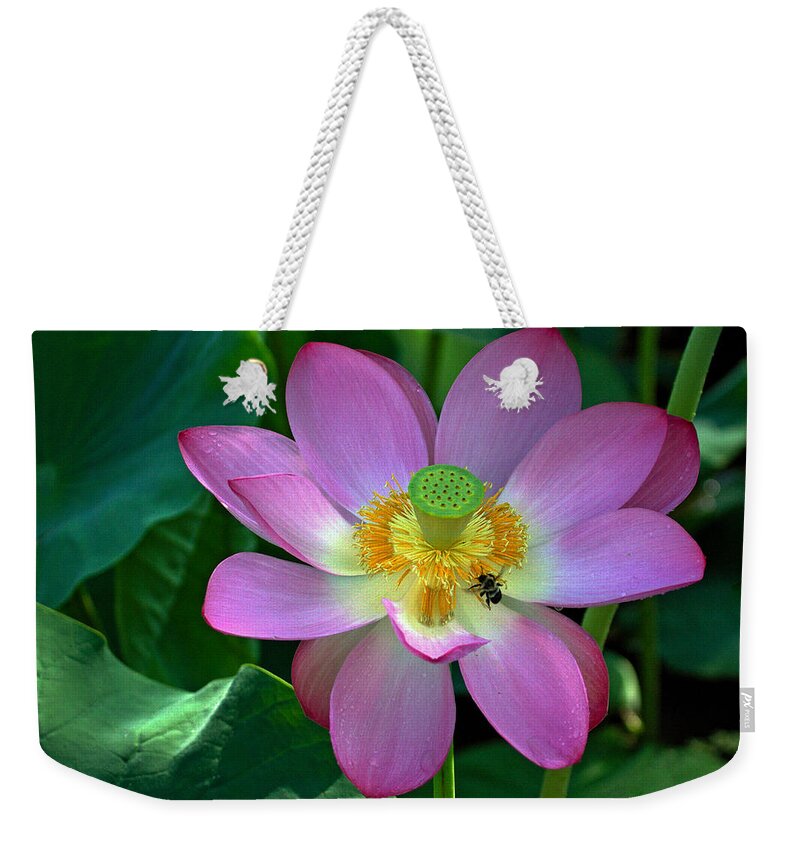 Kenilworth Weekender Tote Bag featuring the photograph Lotus Flower #2 by Jerry Gammon