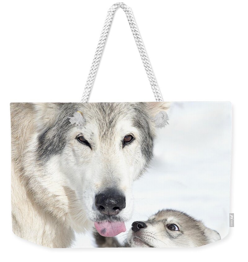 Wolf Hybrid Weekender Tote Bag featuring the photograph Love in the Air in Big Horn country #2 by Deby Dixon