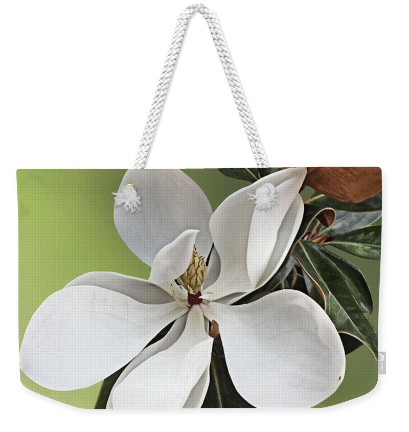 Magnolia Weekender Tote Bag featuring the photograph Magnolia Blossom #2 by Kristin Elmquist