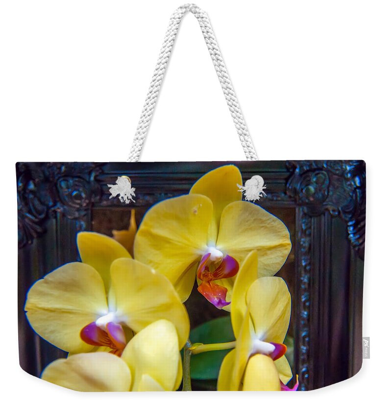 View Weekender Tote Bag featuring the photograph Orchid Flowers Growing Through Old Wooden Picture Frame #2 by Alex Grichenko