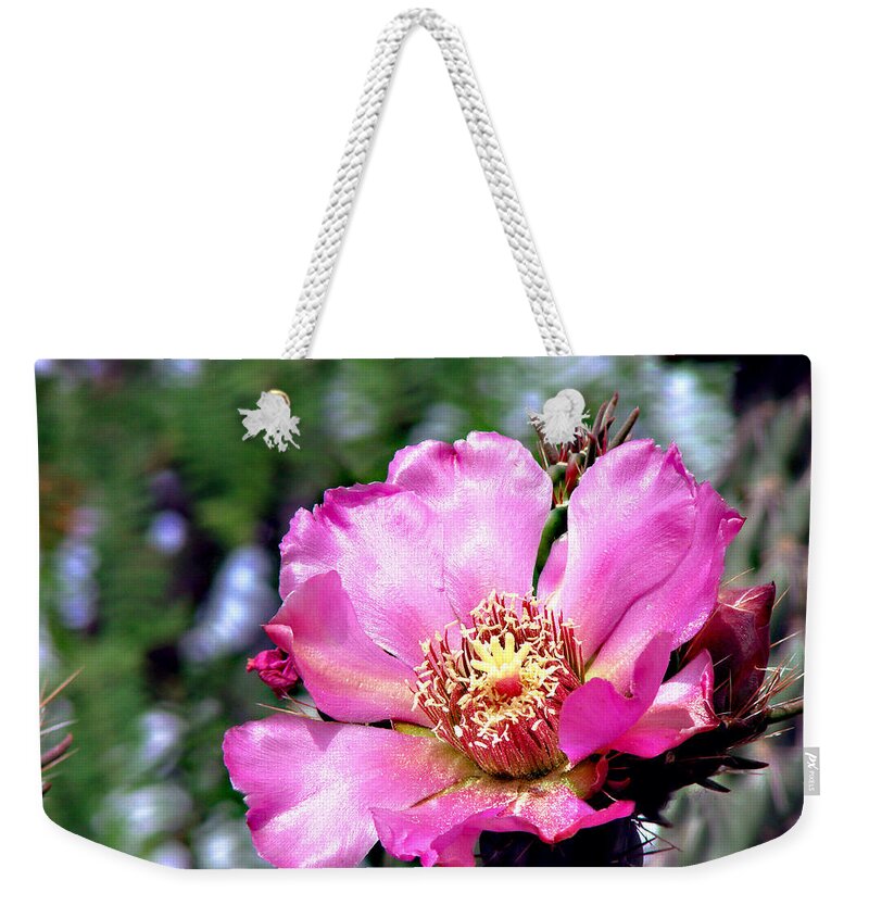 Botanical Weekender Tote Bag featuring the photograph Pink Cactus Flower #2 by Linda Cox
