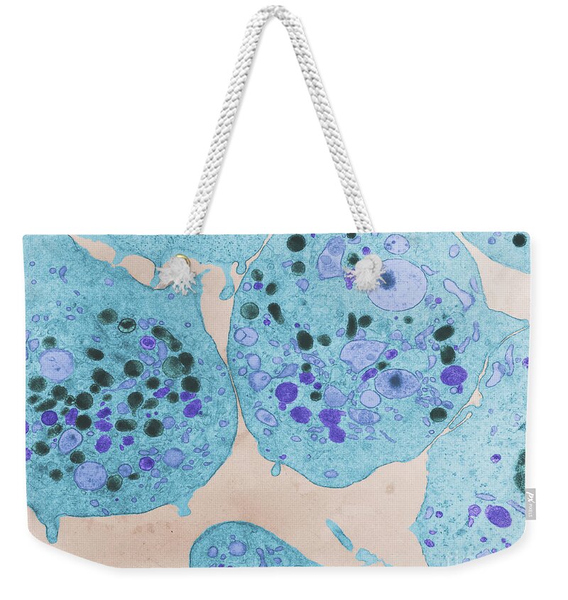 Tem Weekender Tote Bag featuring the photograph Platelets #2 by David M. Phillips
