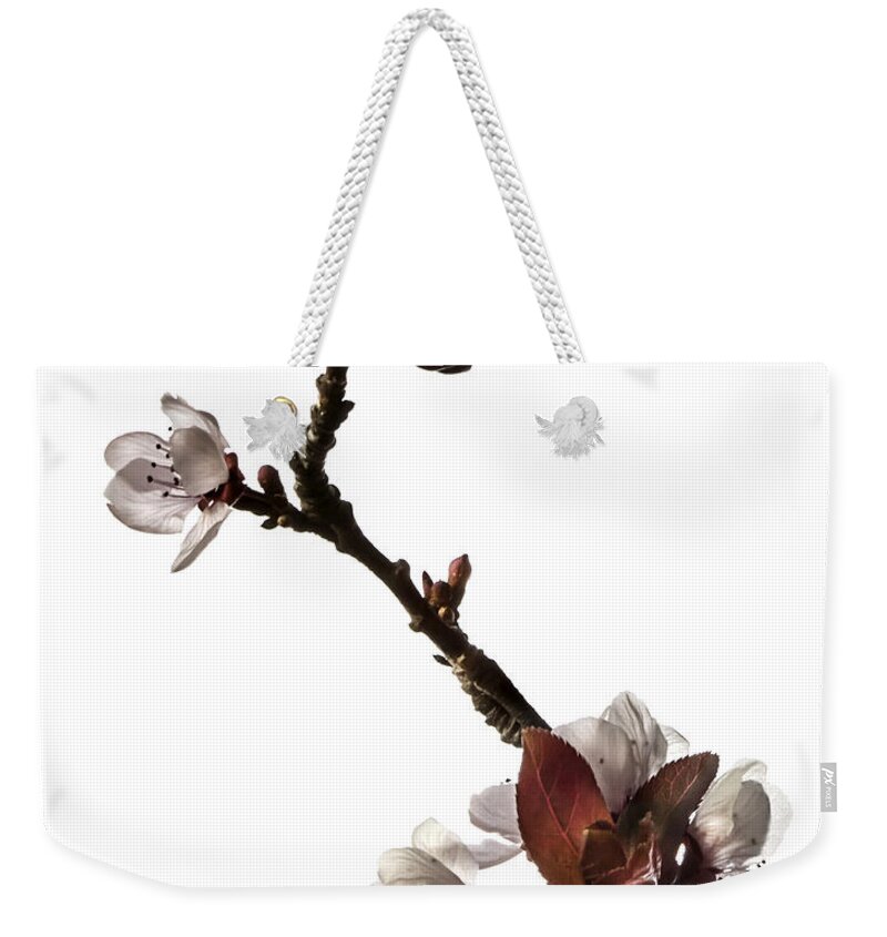 Flower Weekender Tote Bag featuring the photograph Plum Flowers by Endre Balogh