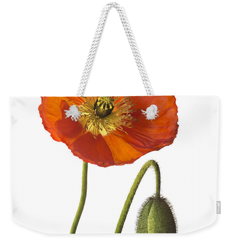 Flower Weekender Tote Bag featuring the photograph Poppy by Endre Balogh