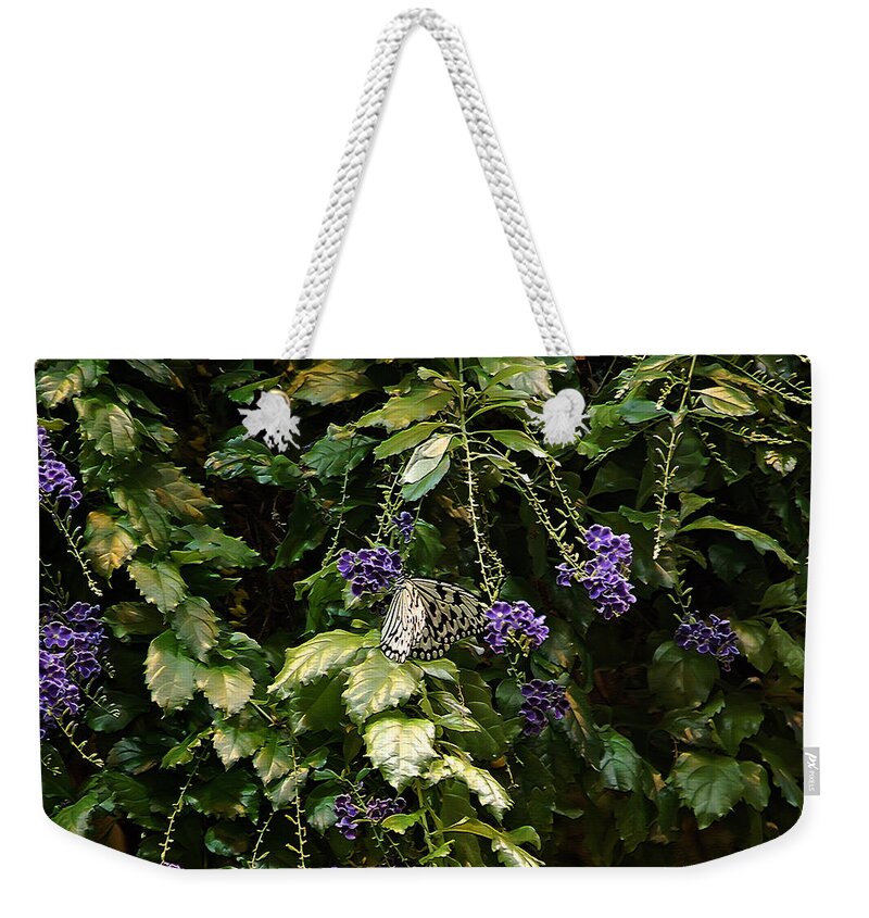 Butterfly Weekender Tote Bag featuring the photograph Purple Beauty #2 by Aimee L Maher ALM GALLERY