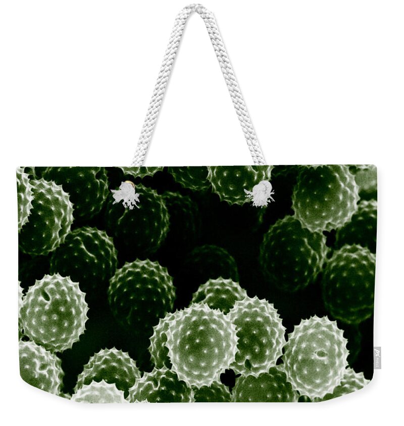 Allergen Weekender Tote Bag featuring the photograph Ragweed Pollen Sem by David M. Phillips / The Population Council