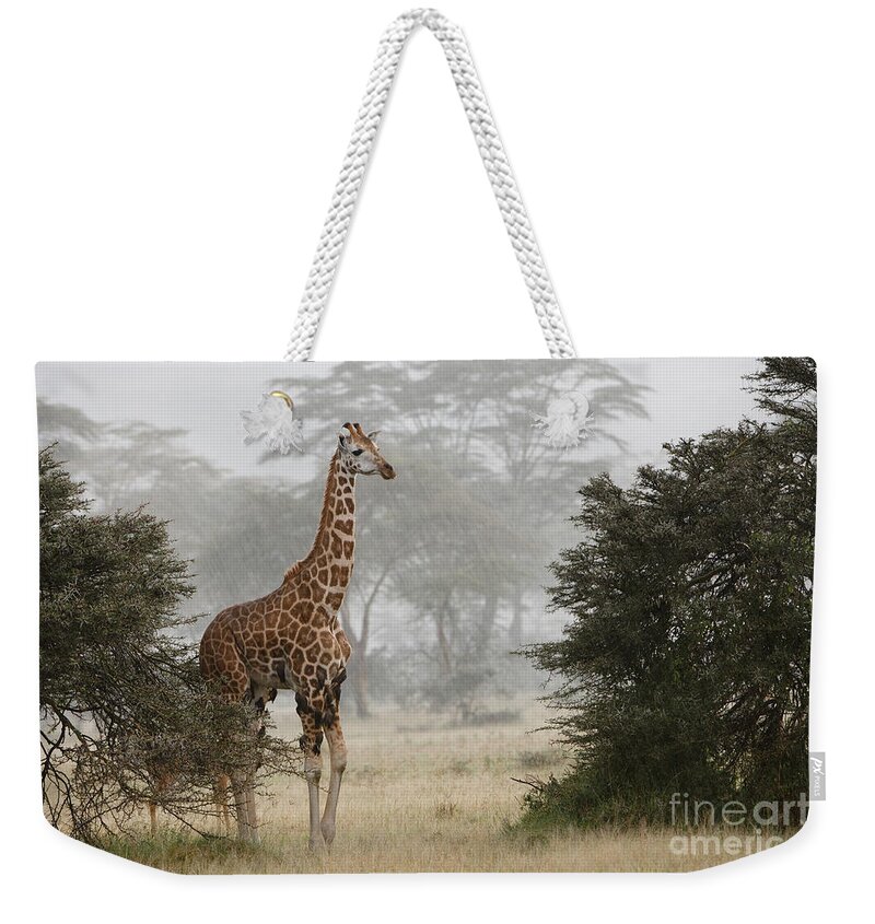 Fauna Weekender Tote Bag featuring the photograph Rothschilds Giraffe #2 by John Shaw