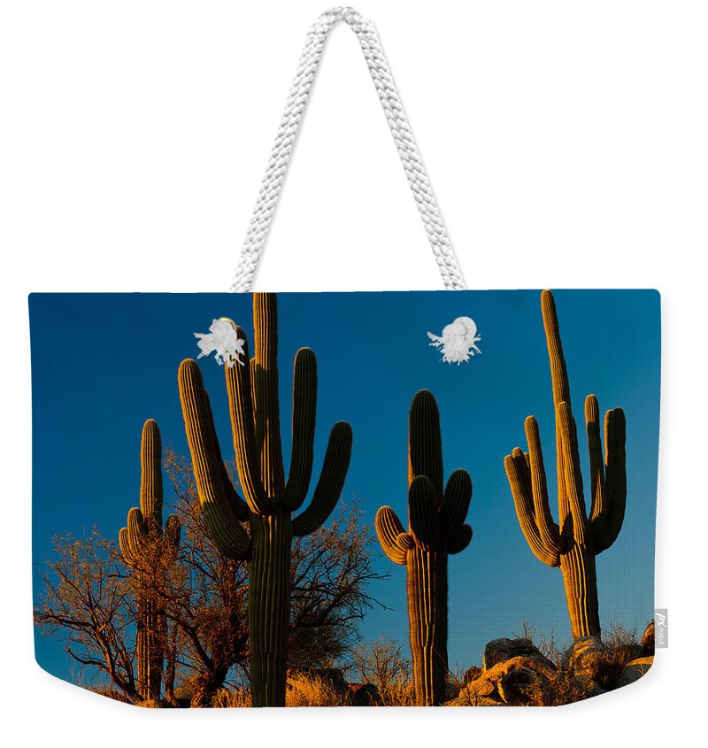 Nature Weekender Tote Bag featuring the photograph Saguaro Cacti #2 by John Shaw