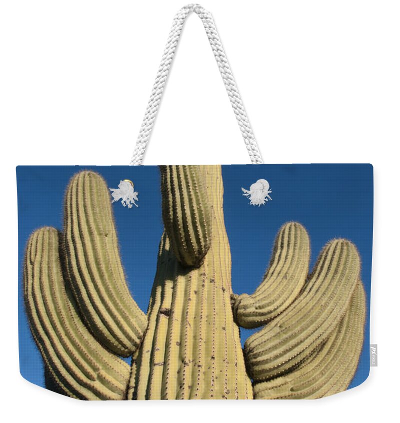 Feb0514 Weekender Tote Bag featuring the photograph Saguaro Cactus Saguaro Np Arizona #2 by Kevin Schafer
