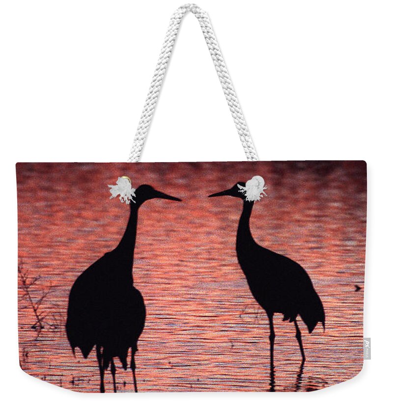 Birds Weekender Tote Bag featuring the photograph Sandhill cranes by Steven Ralser