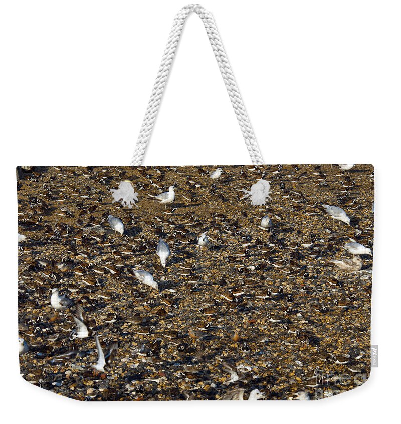 Animal Weekender Tote Bag featuring the photograph Shorebirds #2 by Mark Newman