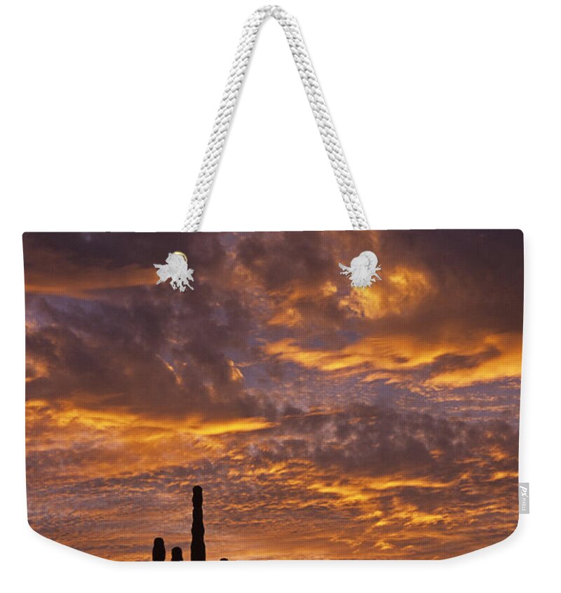 American Southwest Weekender Tote Bag featuring the photograph Silhouetted saguaro cactus sunset at dusk with dramatic clouds #2 by Jim Corwin