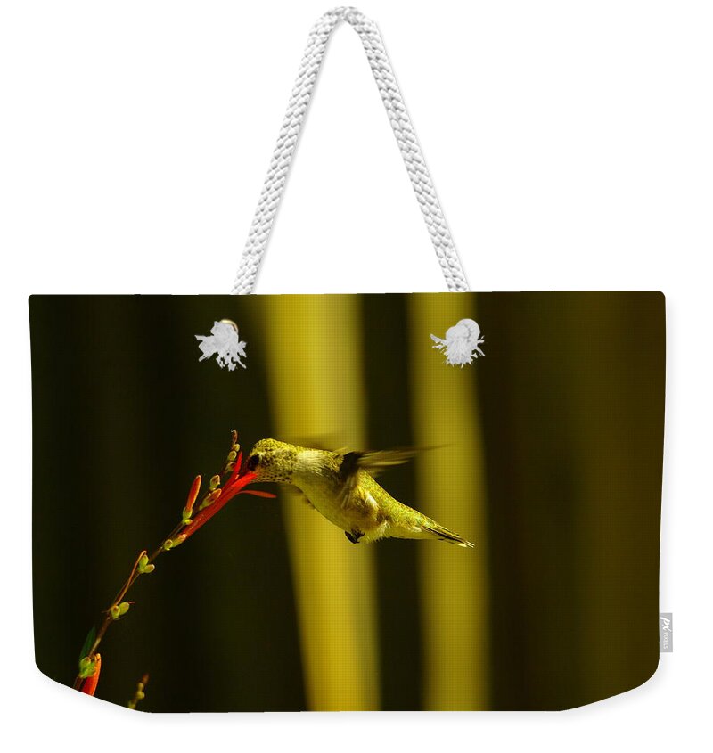 Birds Weekender Tote Bag featuring the photograph Sipping Nectar #1 by Jeff Swan