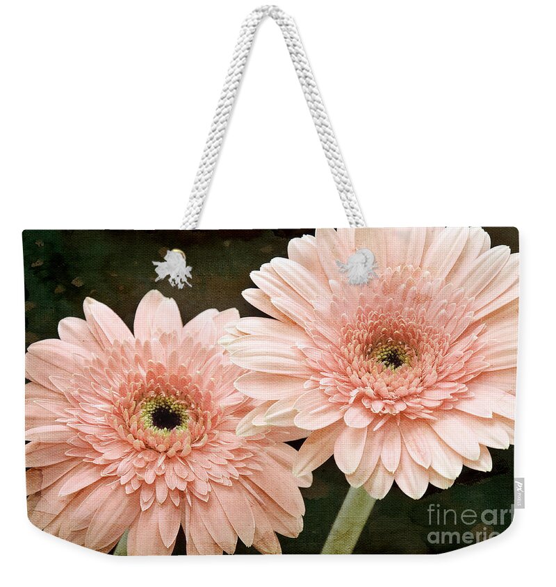 Gerber Weekender Tote Bag featuring the photograph 2 Soft Pink Painterly Gerber Daisies by Andee Design