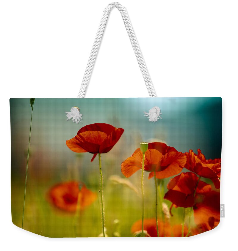Poppy Weekender Tote Bag featuring the photograph Summer Poppy #2 by Nailia Schwarz