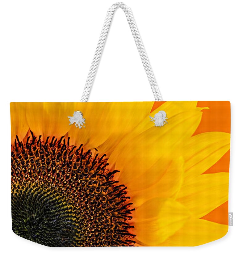 Sunflower Weekender Tote Bag featuring the photograph Sunflower closeup 2 by Elena Elisseeva