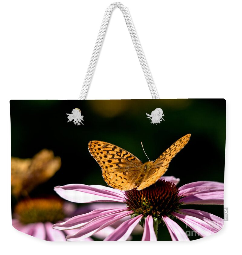 Butterfly Weekender Tote Bag featuring the photograph Sunny Side Up #2 by Cheryl Baxter