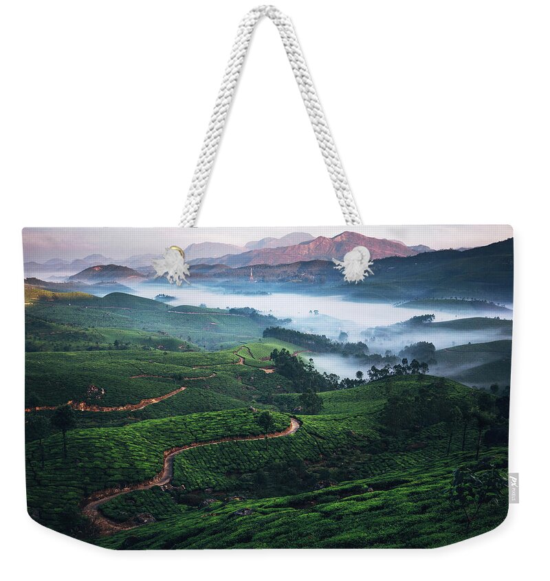 Environmental Conservation Weekender Tote Bag featuring the photograph Tea Plantation In India #2 by Oleh slobodeniuk