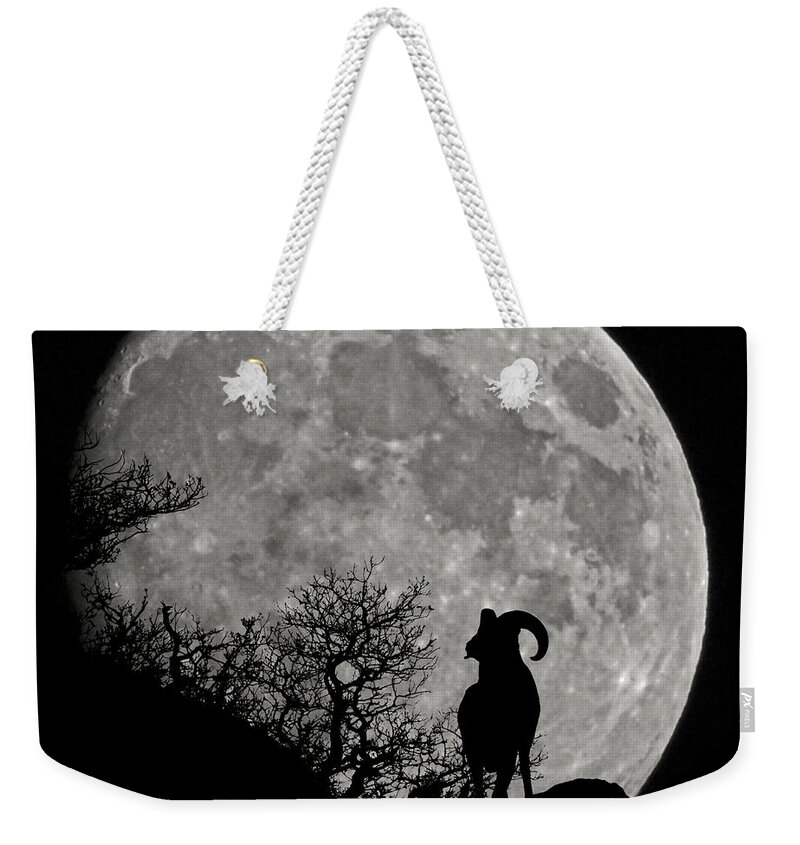 Big Horn Weekender Tote Bag featuring the photograph The Big Horn #1 by Ernest Echols