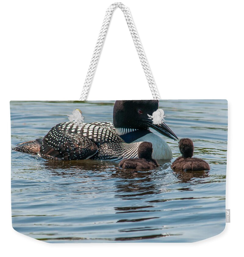 New England Weekender Tote Bag featuring the photograph The First Lesson #2 by Brenda Jacobs