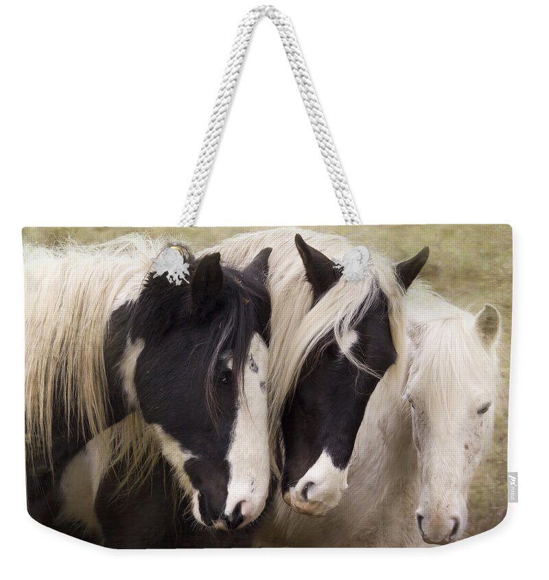 Horse Weekender Tote Bag featuring the photograph Three Amigos #2 by Ang El