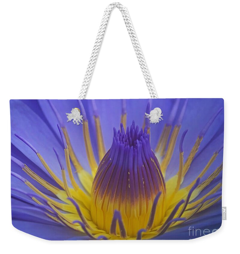 Plant Weekender Tote Bag featuring the photograph Tropic Water Lily 16 by Rudi Prott
