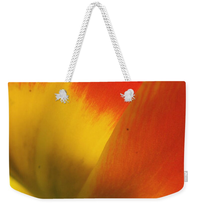 Flora Weekender Tote Bag featuring the photograph Tulip Close Up 2 by Rudi Prott