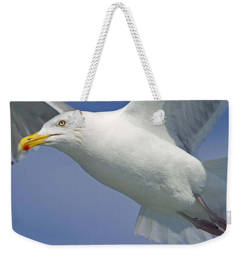 Festblues Weekender Tote Bag featuring the photograph Up Close and Personal... by Nina Stavlund