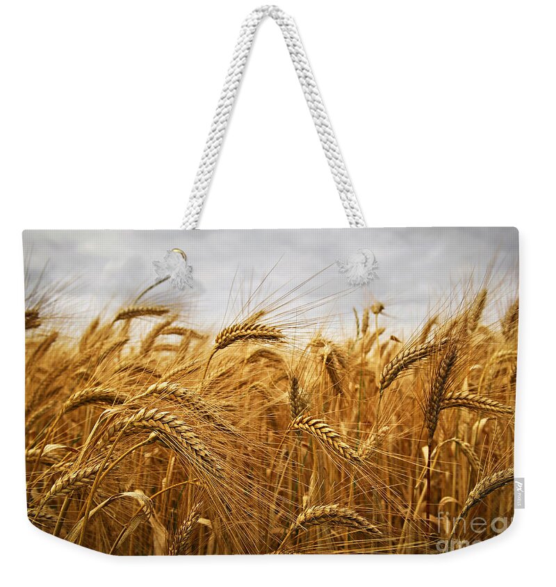 Wheat Weekender Tote Bag featuring the photograph Wheat by Elena Elisseeva