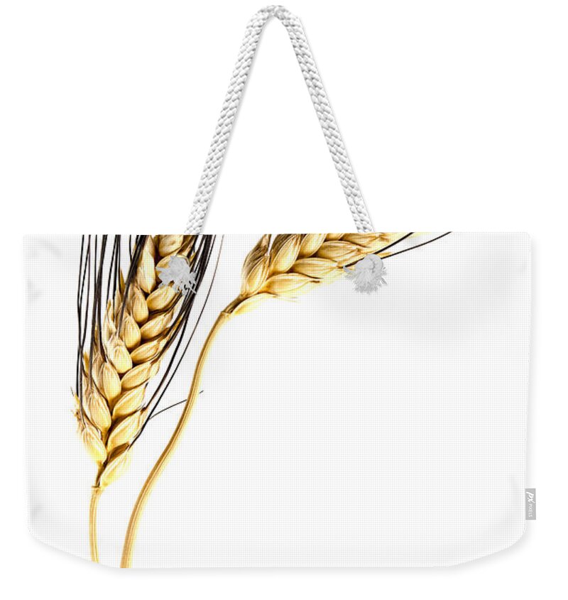 Wheat Weekender Tote Bag featuring the photograph Wheat On White #3 by Carol Leigh