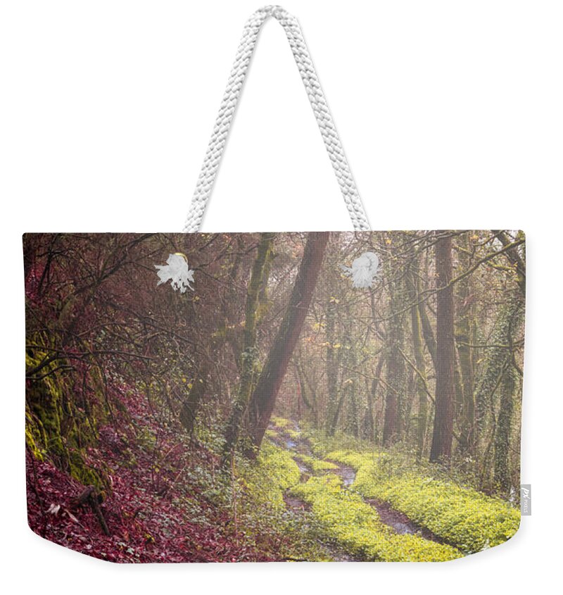 Autumn Weekender Tote Bag featuring the photograph Winter landscape #2 by Paulo Goncalves