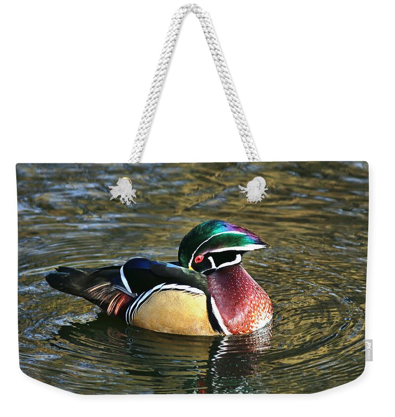 Duck Weekender Tote Bag featuring the photograph Wood Duck Beauty #1 by Abram House