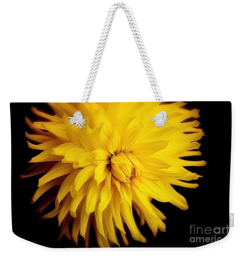Dahlia Weekender Tote Bag featuring the photograph Yellow Dahlia by Lisa Billingsley
